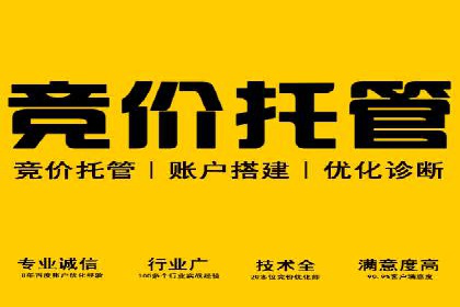 信息流广告代运营公司案例：打造高效营销解决方案